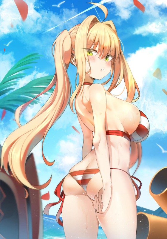 k pringnero claudius (fate) (all)+nero claudius (swimsuit caster) (fate)92aa2aec23b136e8db9c78