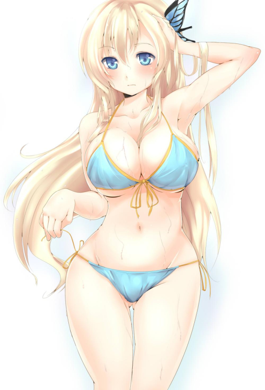 kashiwazaki sena