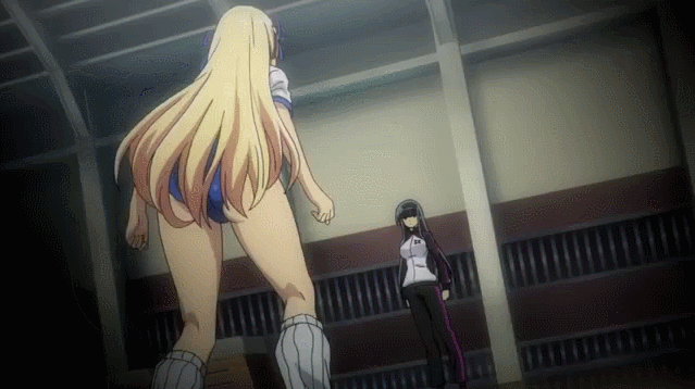 asuka (senran kagura)+hibari (senran kagura)+ikaruga (senran kagura)+katsuragi (senran kagura)