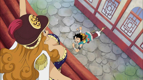 aphelandra+monkey d. luffy
