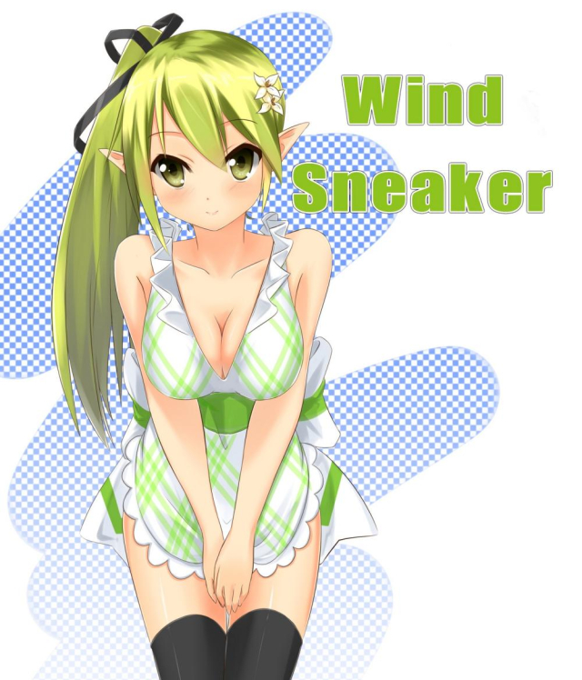 rena erindel+wind sneaker (elsword)