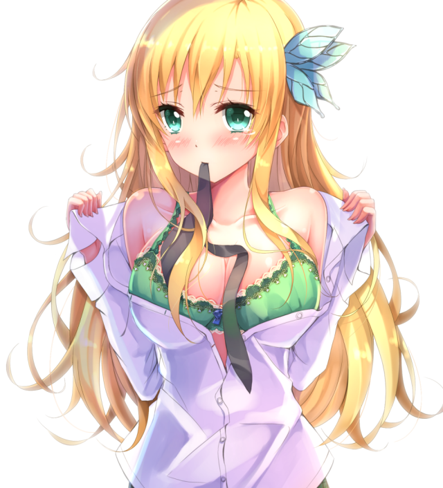 kashiwazaki sena