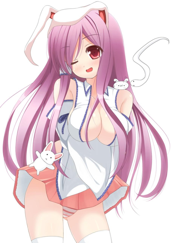 reisen udongein inaba