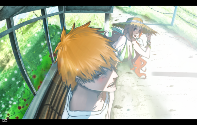 kurosaki ichigo+inoue orihime