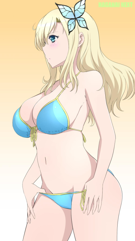 kashiwazaki sena