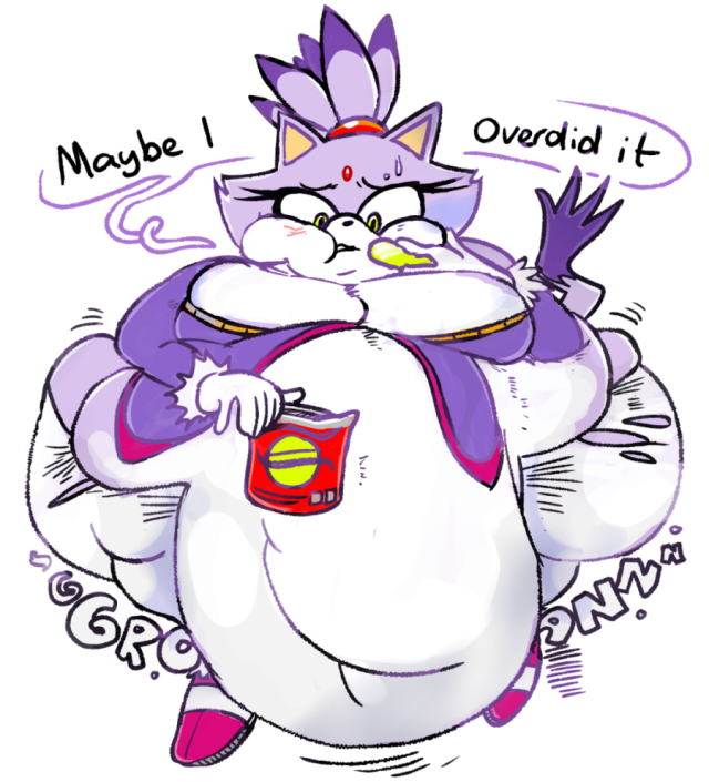 blaze the cat