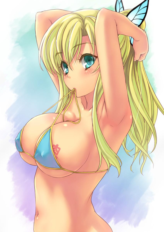 kashiwazaki sena