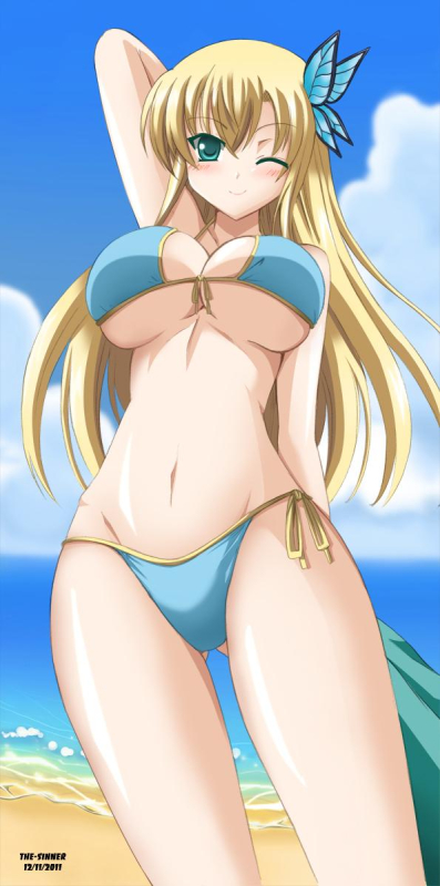 kashiwazaki sena