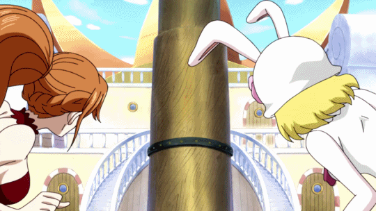 carrot (one piece)+nami (one piece)