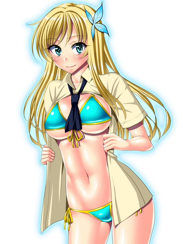 kashiwazaki sena