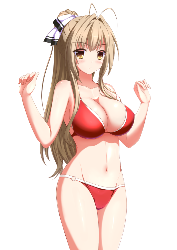 sento isuzu