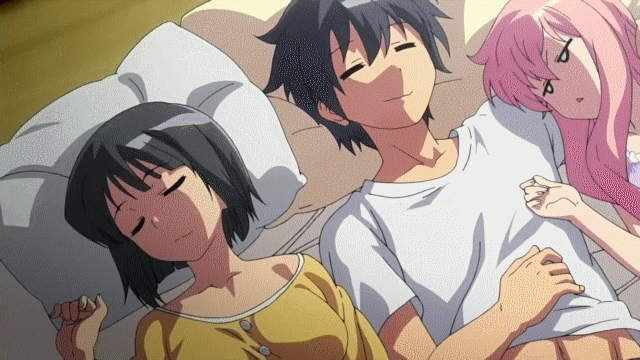 hiraga saito+louise francoise le blanc de la valliere+siesta (zero no tsukaima)