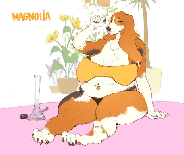 magnolia (soybeansgalore)