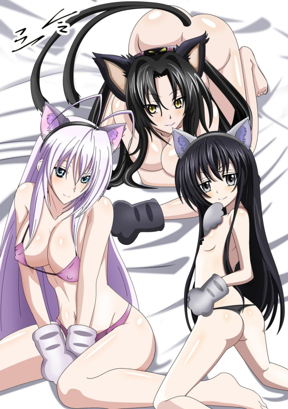rossweisse+kuroka (high school dxd)+ophis