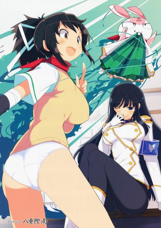 ikaruga (senran kagura)+asuka (senran kagura)