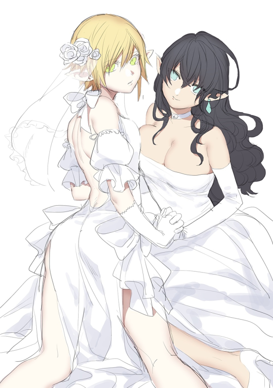 aymeric+aymeric de borel+elezen