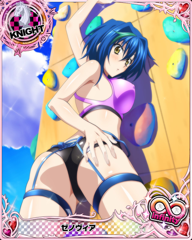 xenovia quarta
