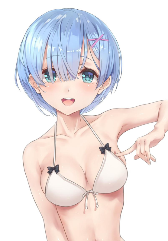 rem (re zero)