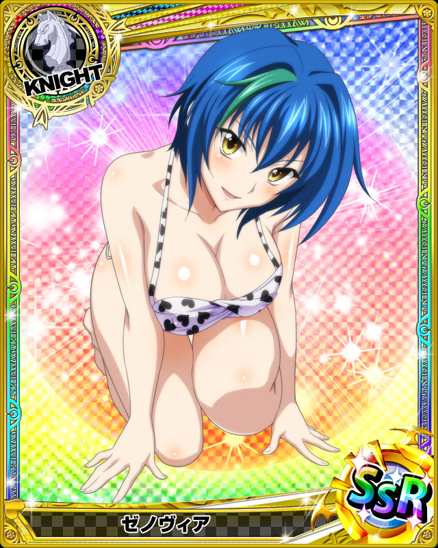 xenovia quarta