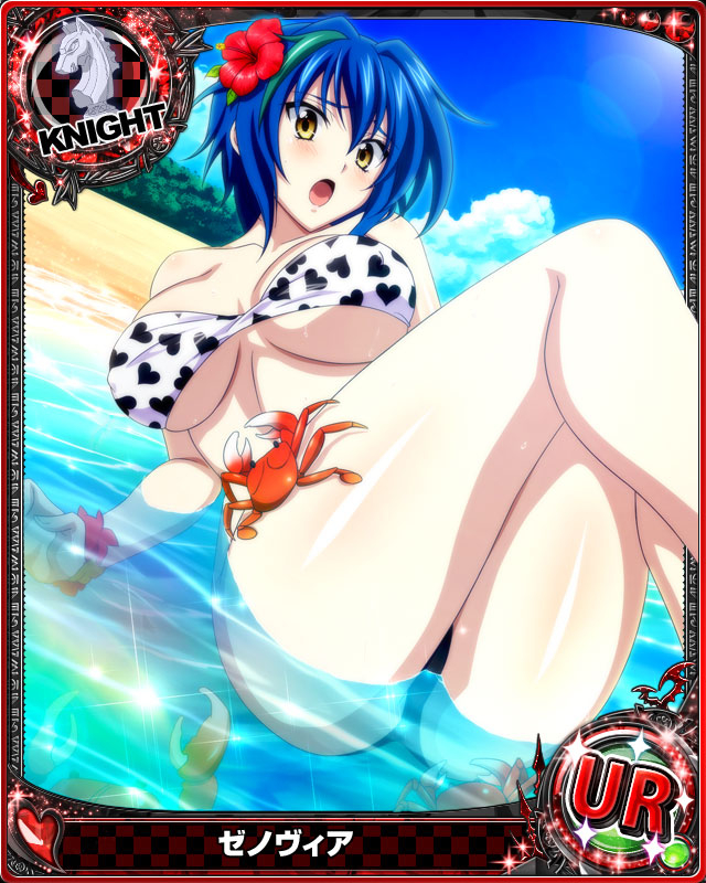 xenovia quarta