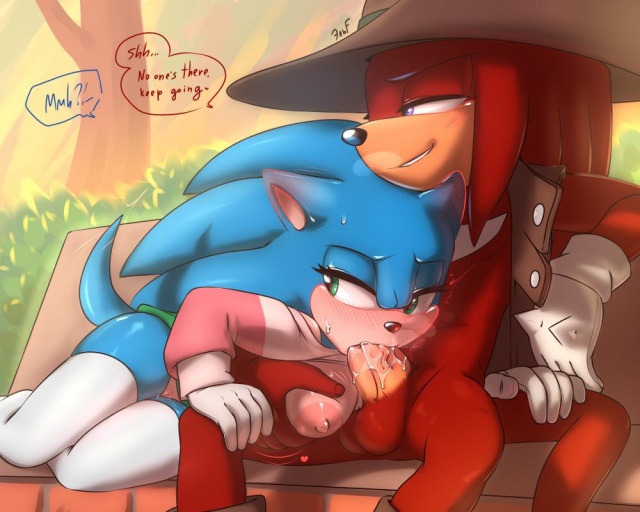 knuckles the echidna+sonic the hedgehog