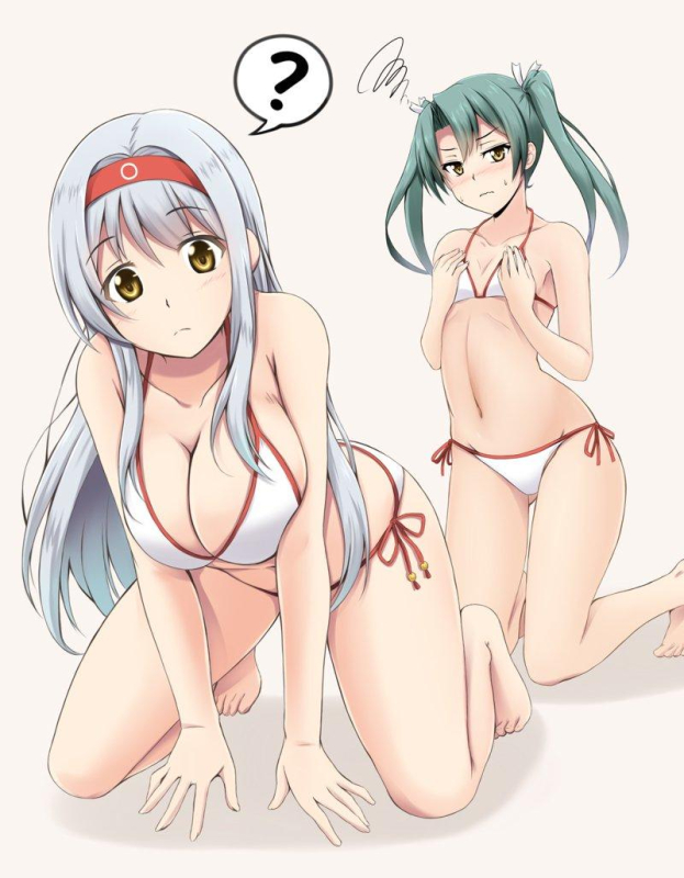shoukaku aircraft carrier+zuikaku aircraft carrier