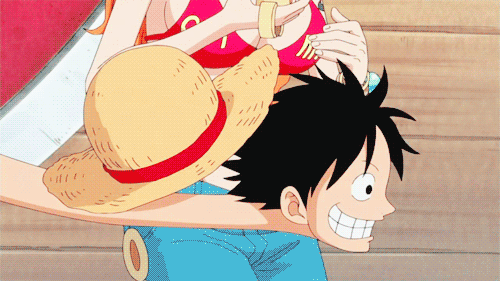monkey d. luffy+nami (one piece)+thousand sunny