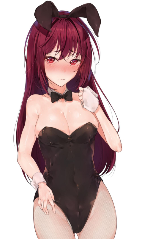 scathach (fate) (all)+scathach (fate)