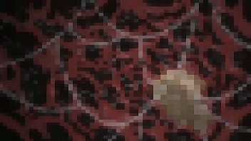 kirishima (stringendo)