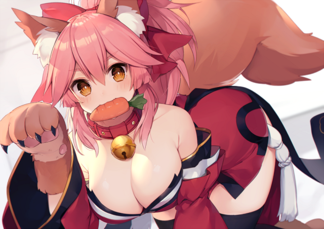 tamamo (fate) (all)+tamamo cat (fate)