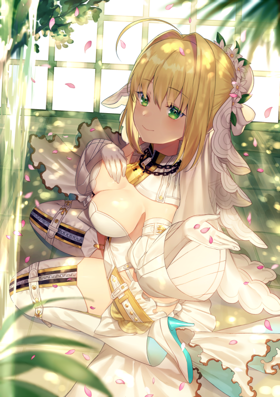 nero claudius (fate) (all)+nero claudius (bride) (fate)