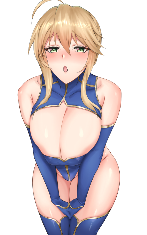 artoria pendragon (all)+artoria pendragon (lancer) (fate)