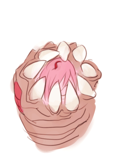 sandworm (monster girl encyclopedia)