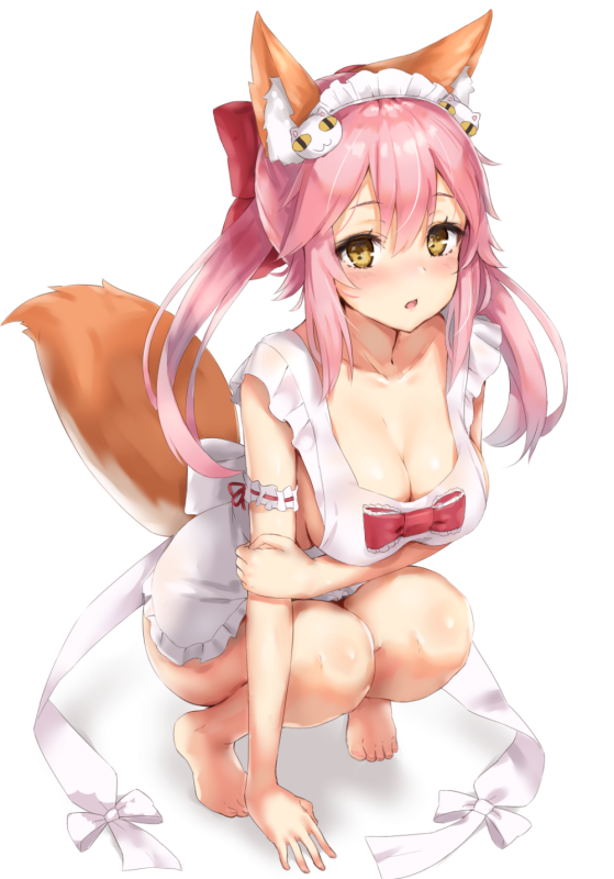 tamamo (fate) (all)+tamamo cat (fate)