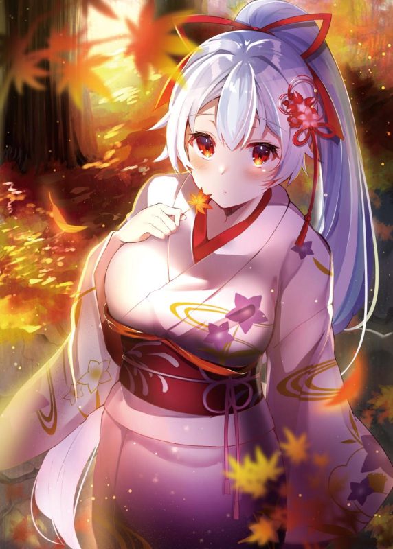 tomoe gozen (fate grand order)