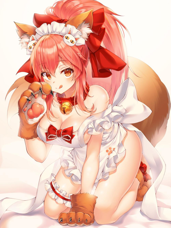 tamamo (fate) (all)+tamamo cat (fate)