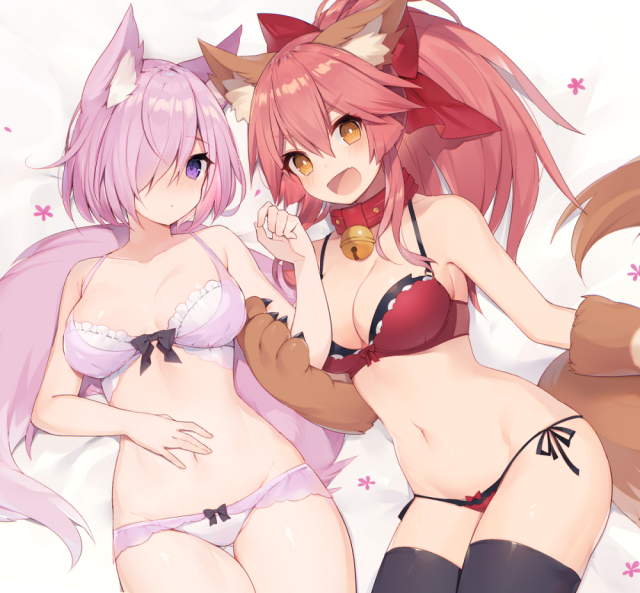 mash kyrielight+tamamo (fate) (all)+tamamo cat (fate)