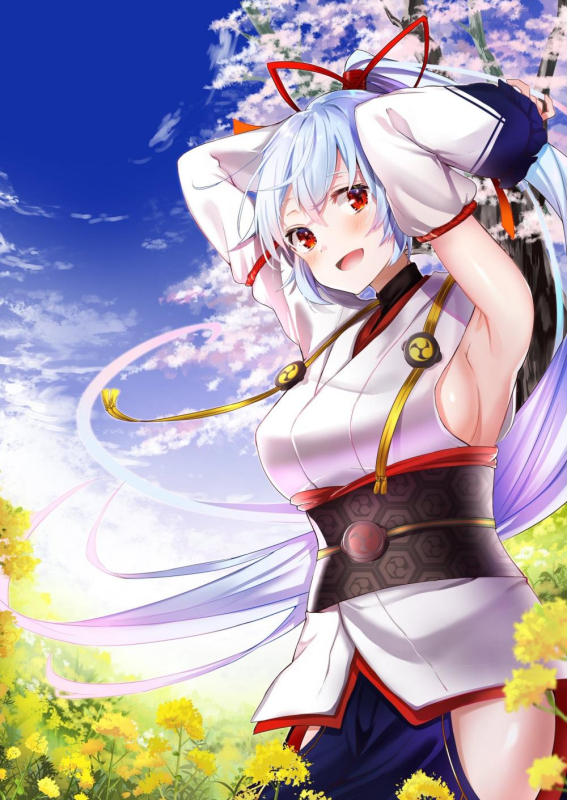 tomoe gozen (fate grand order)