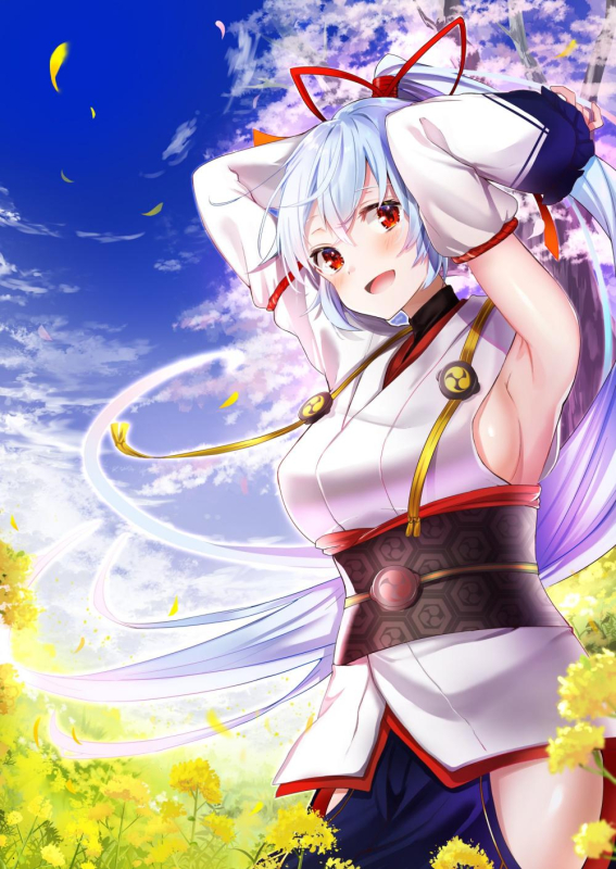 tomoe gozen (fate grand order)