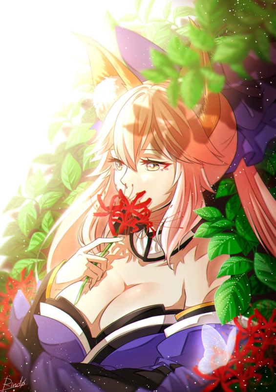 tamamo (fate) (all)+tamamo no mae (fate)