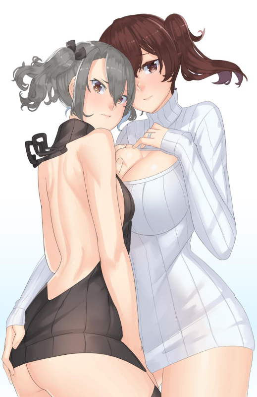 kaga aircraft carrier+zuikaku aircraft carrier