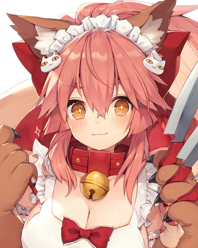 tamamo (fate) (all)+tamamo cat (fate)