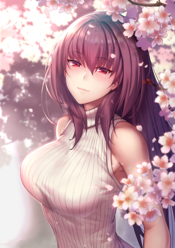 scathach (fate) (all)+scathach (fate)