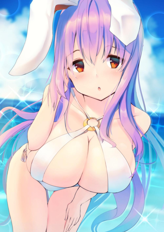 reisen udongein inaba