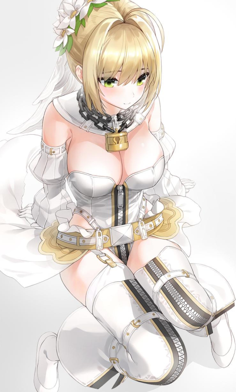 nero claudius (fate) (all)+nero claudius (bride) (fate)