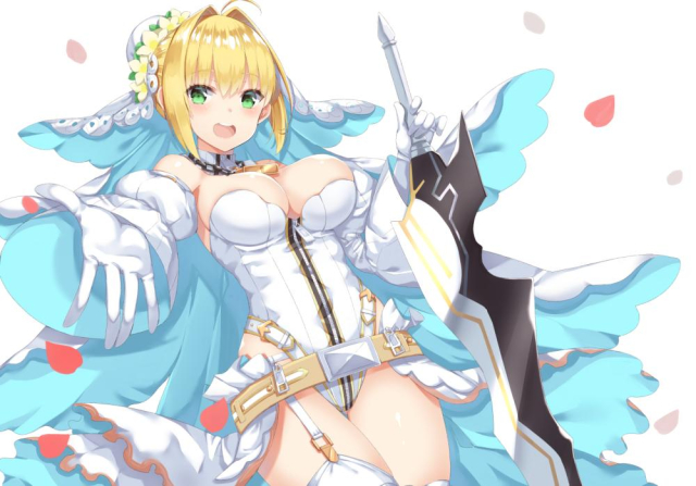 nero claudius (fate) (all)+nero claudius (bride) (fate)