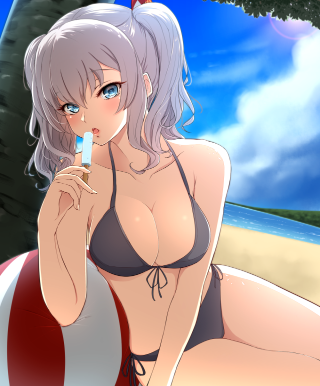 kashima training cruiser