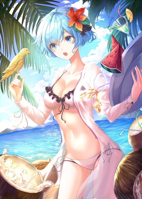 rem (re zero)