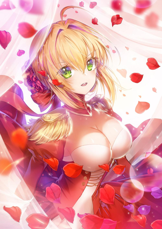 nero claudius (fate) (all)+nero claudius (fate)
