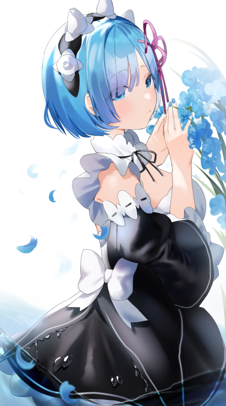 rem (re zero)